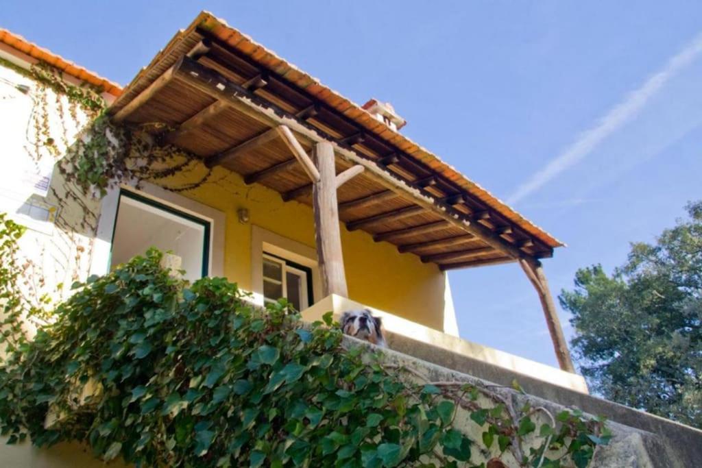 Casa da Ruiva Serra Exterior foto